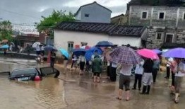 陆河新闻爆料最新,突发！最新事件引发关注，详情即将揭晓